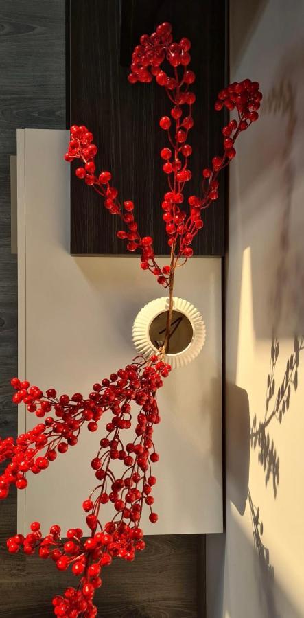 Li Ri Apartment Style 索拉 外观 照片
